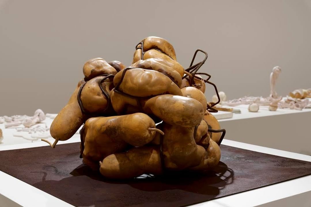 A cluster of beige decorative gourds whose growth was distorted by a metal armature sit on a black square on a white pedestal.